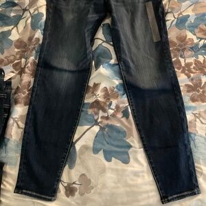 American Eagle Curvy Jegging Size 12 Regular
